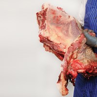 Neck and Chuck Eye bone in Meat Cut Spec Step 11